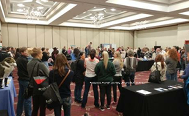 AVCA Annual Conference – It’s the Place to Be!